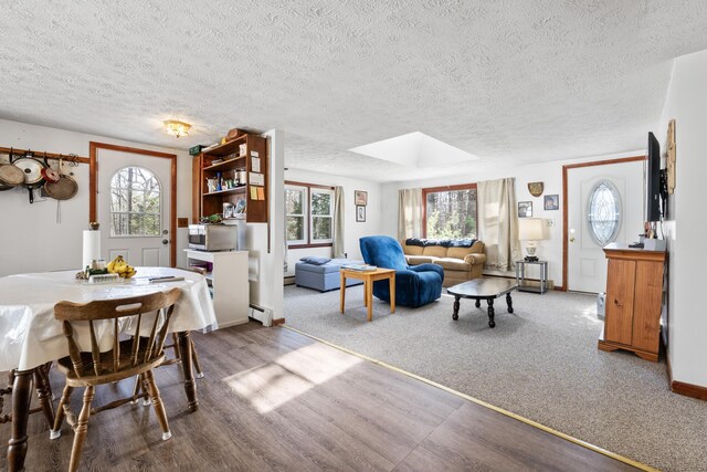 dining area with a skylight, a wealth of natural light, a textured ceiling, and a baseboard radiator
