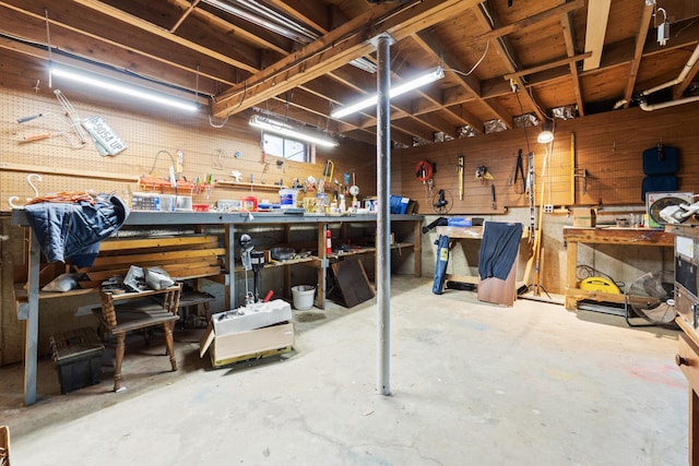 below grade area with a workshop area and wood walls