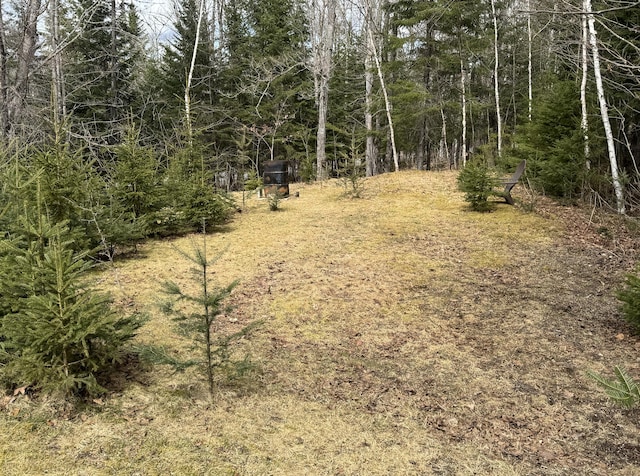 view of nature featuring a forest view