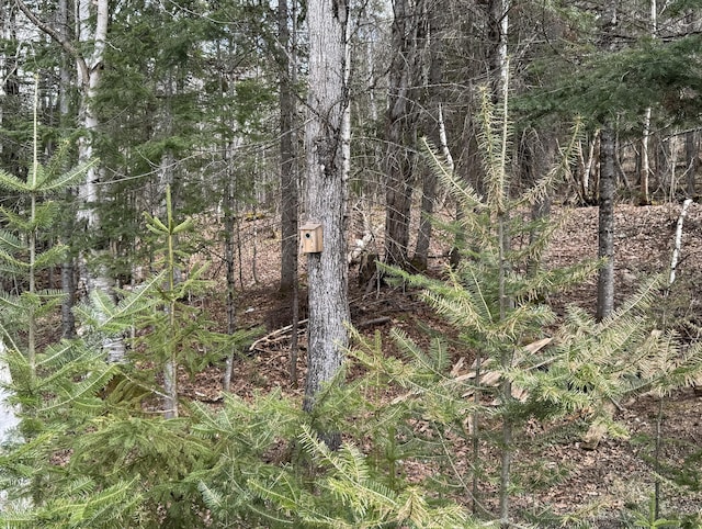 view of nature