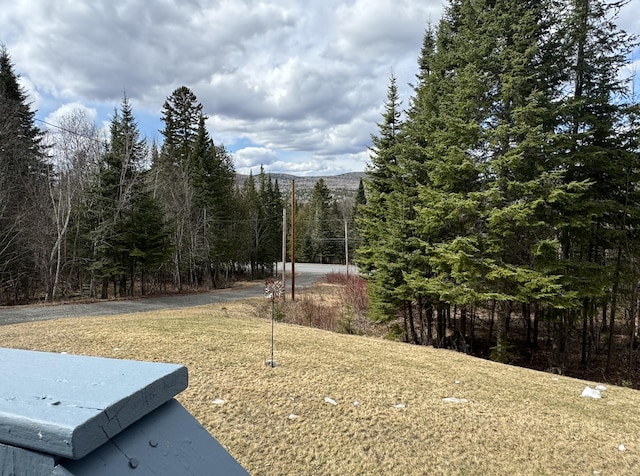 view of yard featuring a view of trees