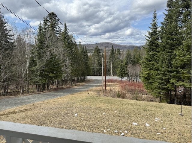 view of yard featuring a mountain view and a wooded view