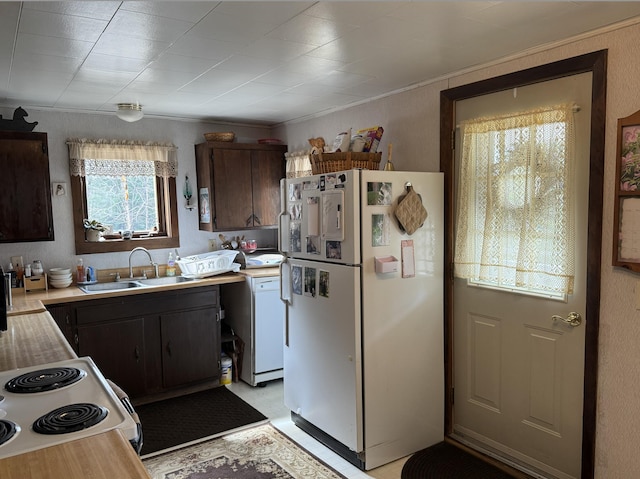 kitchen with a sink, light countertops, dark brown cabinetry, ornamental molding, and white appliances