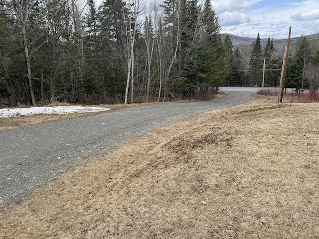 view of road featuring a forest view