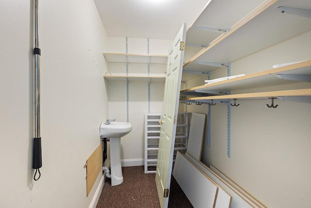 spacious closet with a sink