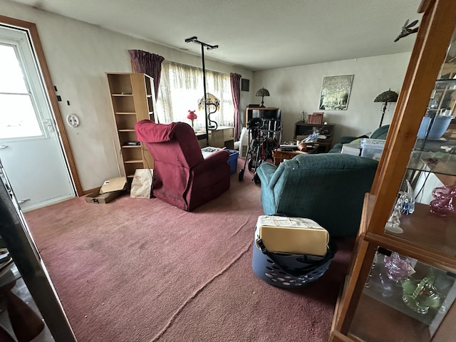 living room with carpet