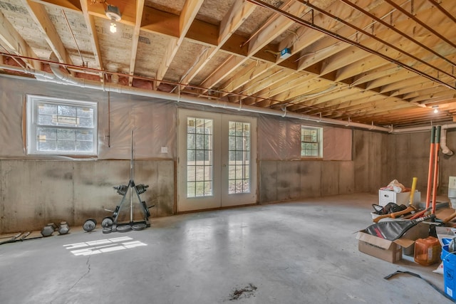 basement with french doors