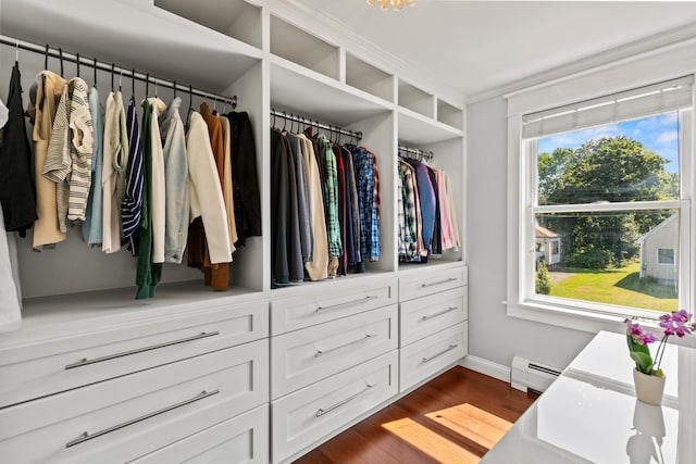 spacious closet featuring wood finished floors and baseboard heating