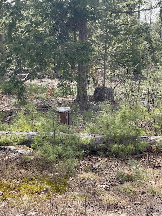 173 N Tamworth Rd, Otisfield, ME 04270 - view of yard