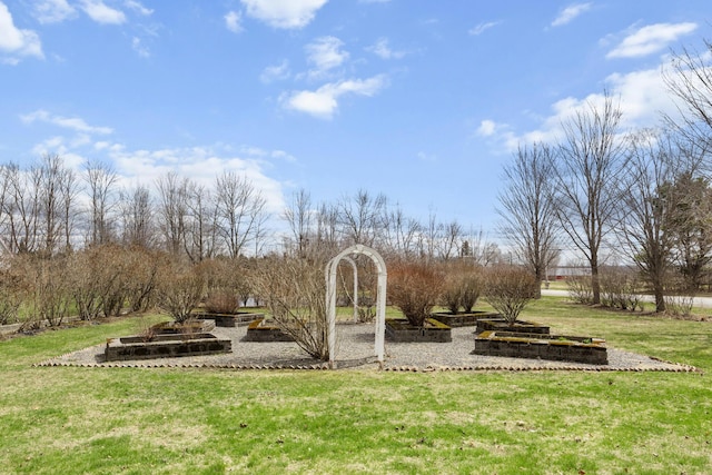 view of yard with a vegetable garden