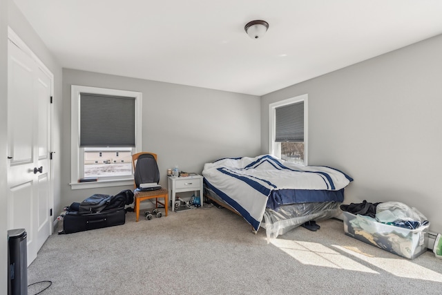 bedroom with carpet floors