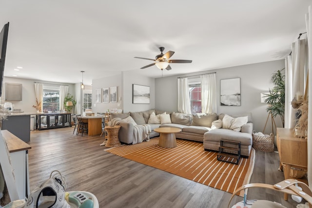 living room with a ceiling fan and wood finished floors