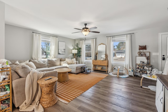 living area with a healthy amount of sunlight, a ceiling fan, and dark wood-style flooring
