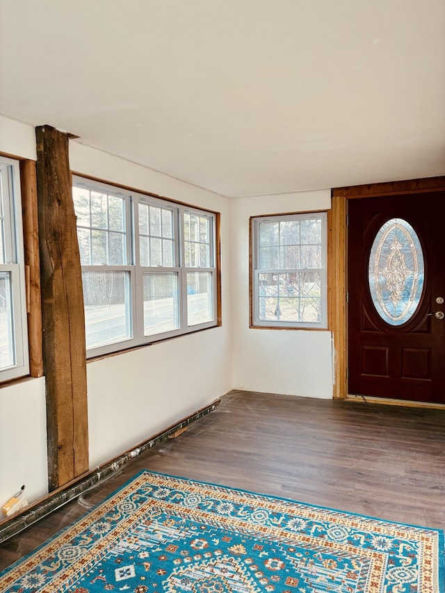 foyer entrance featuring wood finished floors
