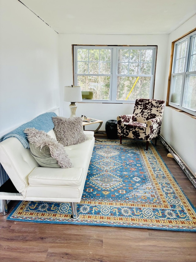 living area featuring wood finished floors