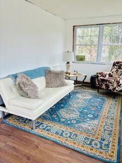 living area featuring wood finished floors