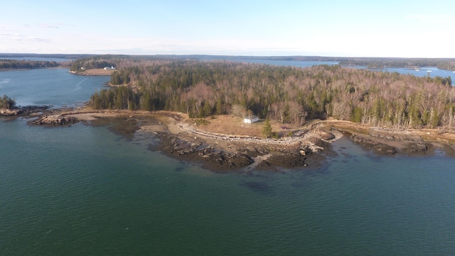 drone / aerial view featuring a water view and a view of trees