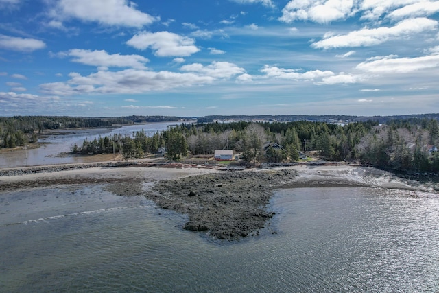 birds eye view of property with a water view and a view of trees