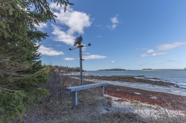 view of home's community with a water view
