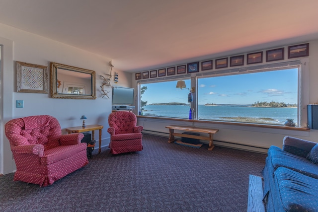 interior space with a baseboard radiator, a wealth of natural light, and carpet floors