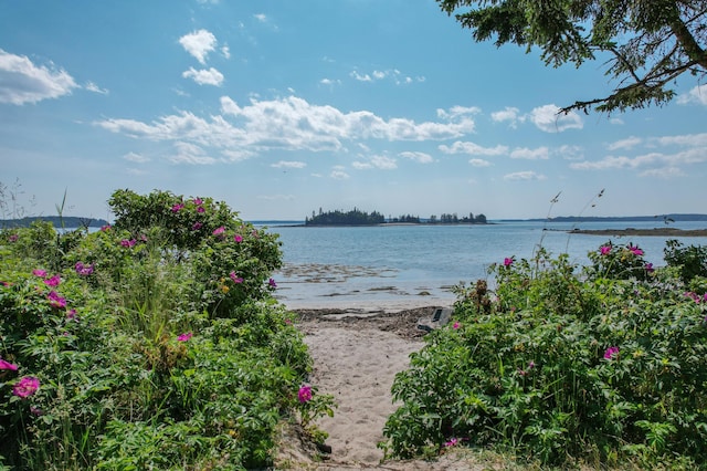 397 Cape Split Rd, Addison, ME 04606 - water view