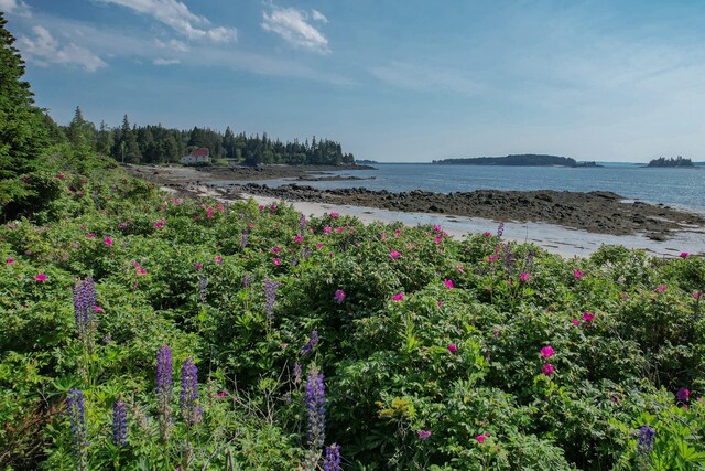 397 Cape Split Rd, Addison, ME 04606 - water view with local beach