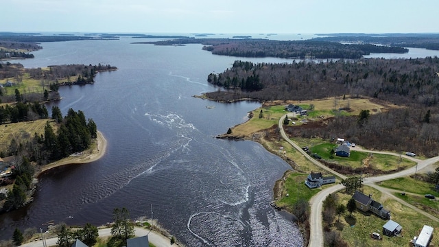drone / aerial view featuring a water view and a view of trees