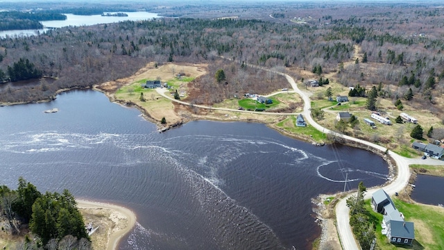 drone / aerial view with a water view and a forest view