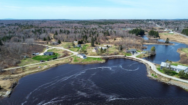 birds eye view of property with a water view and a view of trees