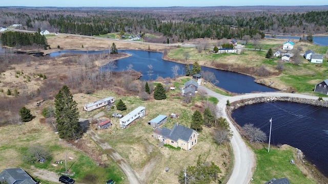 birds eye view of property featuring a water view and a forest view