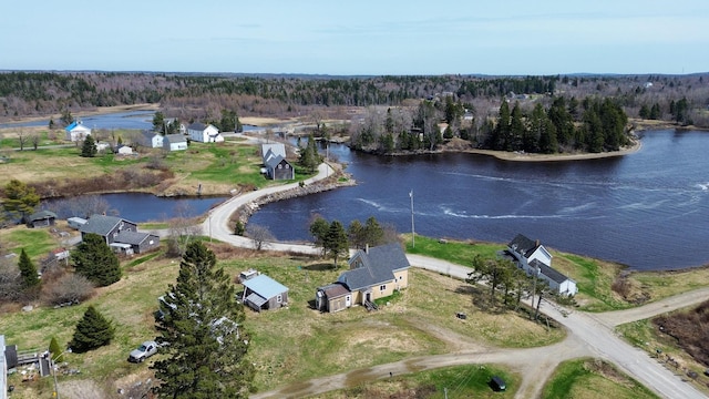 bird's eye view with a forest view and a water view