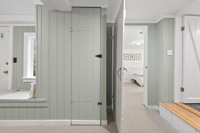 interior space with baseboards, carpet, and a decorative wall