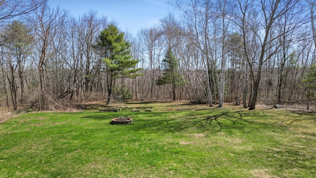 135 Williams Rd, Newport, ME 04953 - view of yard featuring a fire pit and a forest view