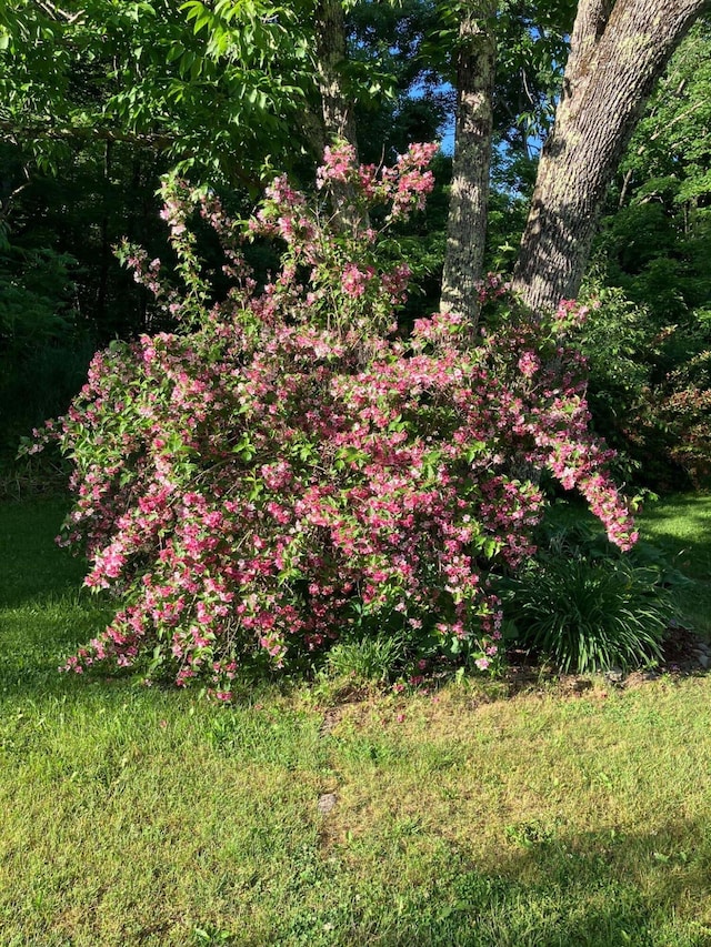 135 Williams Rd, Newport, ME 04953 - view of yard