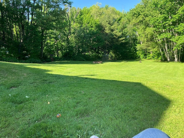 135 Williams Rd, Newport, ME 04953 - view of yard featuring a wooded view