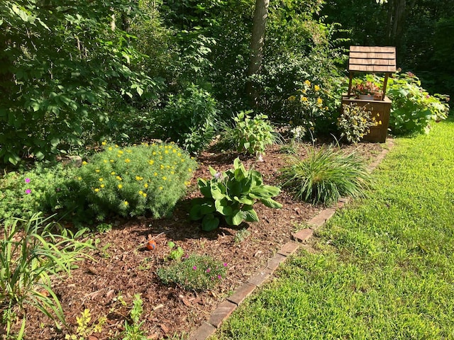 135 Williams Rd, Newport, ME 04953 - view of yard