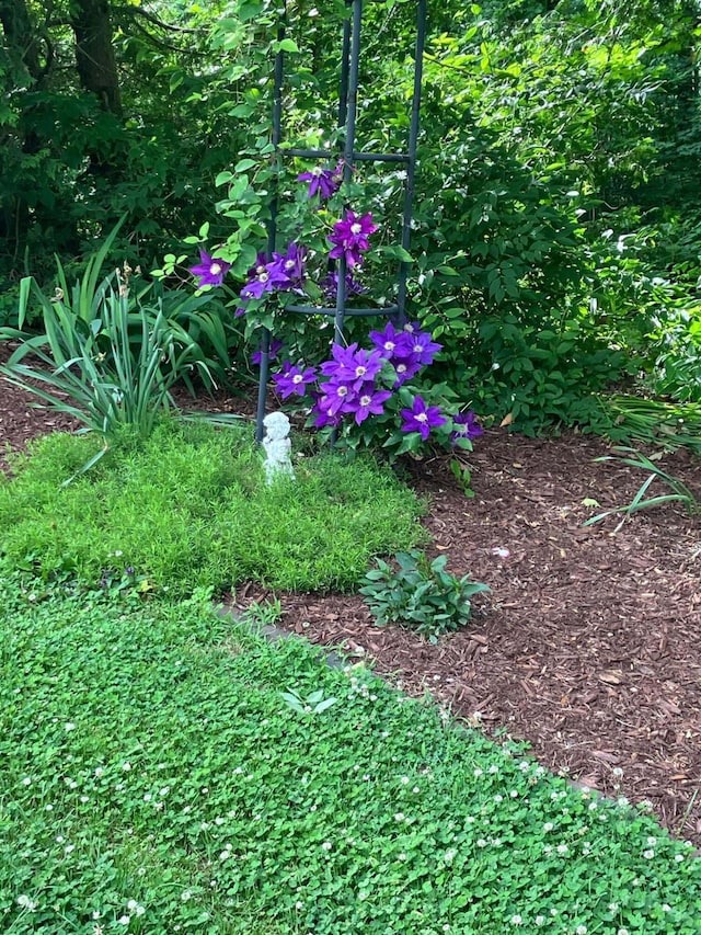 135 Williams Rd, Newport, ME 04953 - view of details
