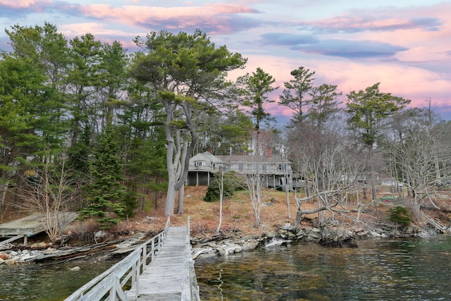 dock area with a water view