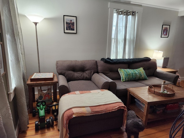 217 Washington Rd, Jefferson, ME 04348 - living area with light wood-style flooring