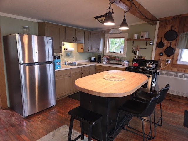 kitchen featuring a sink, dark wood finished floors, radiator heating unit, stainless steel appliances, and a healthy amount of sunlight
