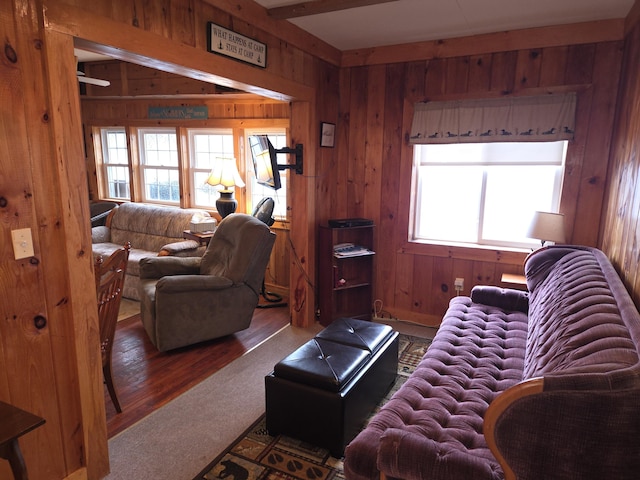 living room featuring wooden walls, a wealth of natural light, and wood finished floors