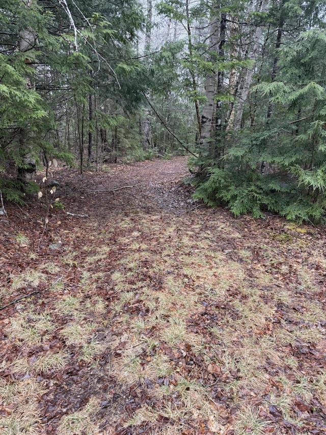 239 New Camp Rd, Lincoln, ME 04457