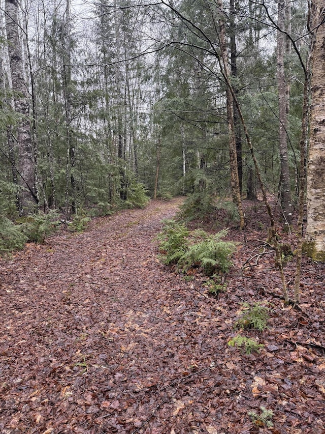 239 New Camp Rd, Lincoln, ME 04457