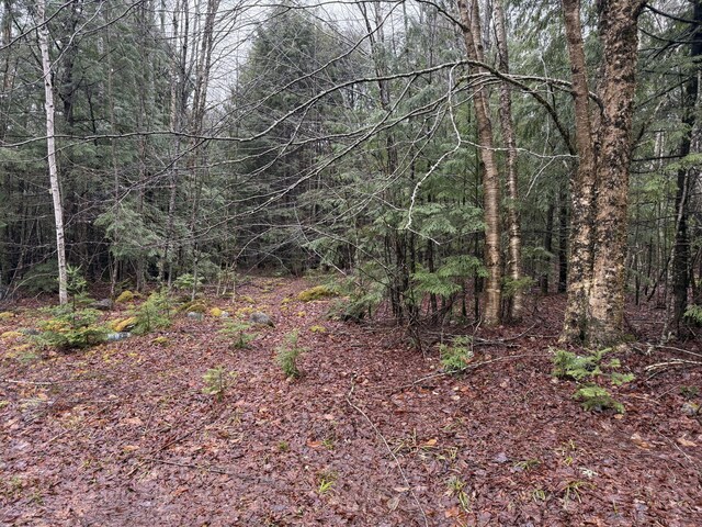 239 New Camp Rd, Lincoln, ME 04457