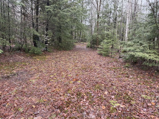 239 New Camp Rd, Lincoln, ME 04457