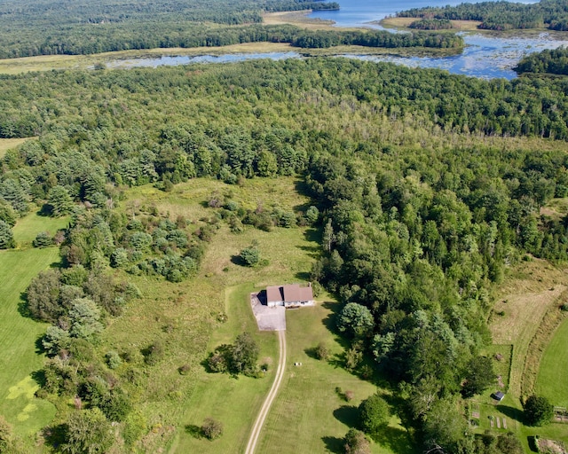 bird's eye view featuring a water view and a view of trees