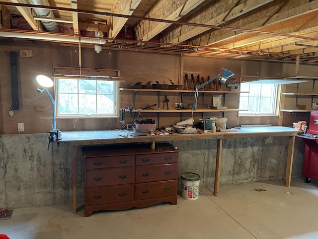 basement with a workshop area