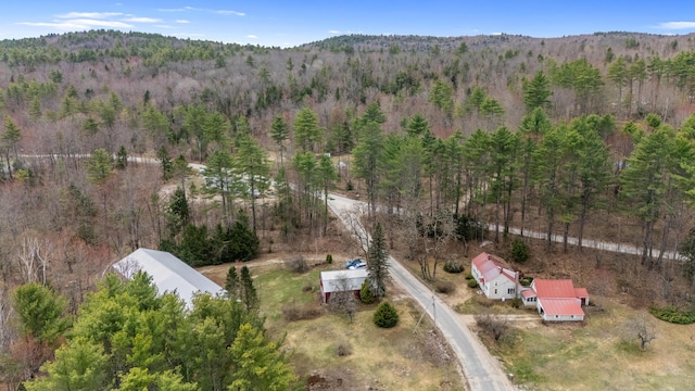 birds eye view of property featuring a mountain view and a view of trees
