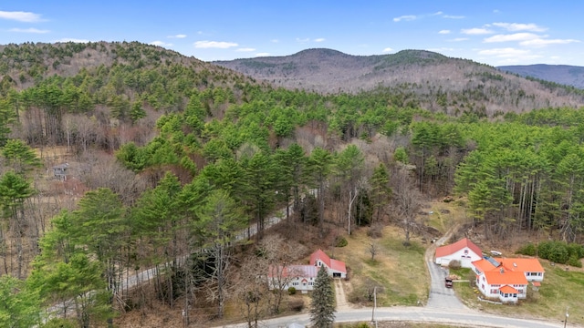 view of mountain feature with a wooded view
