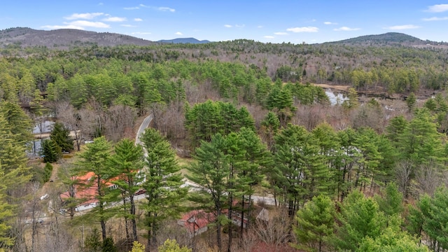 property view of mountains with a forest view